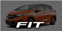 13- FIT RS / JAZZ (GK5)